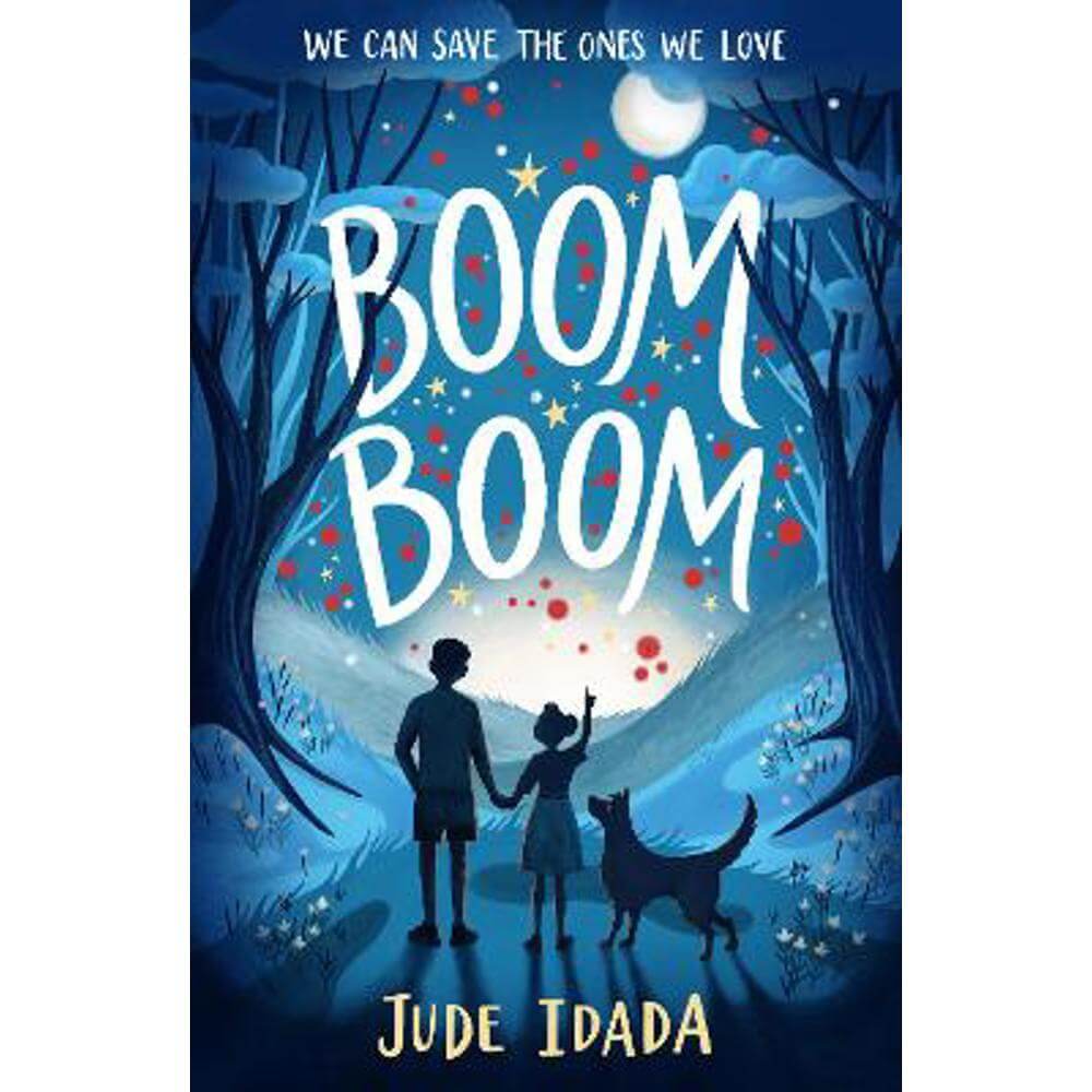 Boom Boom (Paperback) - Jude Idada